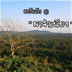 แม่ จำ เนียง